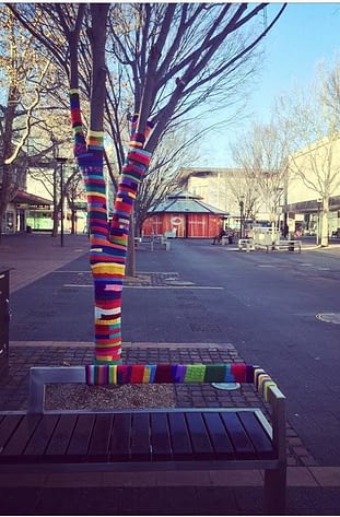 A tree in Garema place on a cold winter day with the tree knitted in striped wool.  